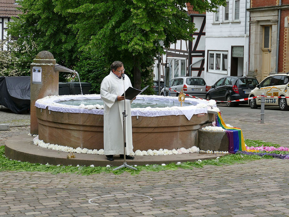 Bluemteppich auf dem Naumburegr Marktplatz (Foto: Karl-Franz Thiede)